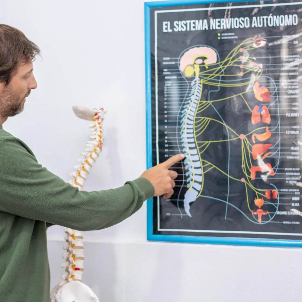 Luciano explicando el sistema nervioso